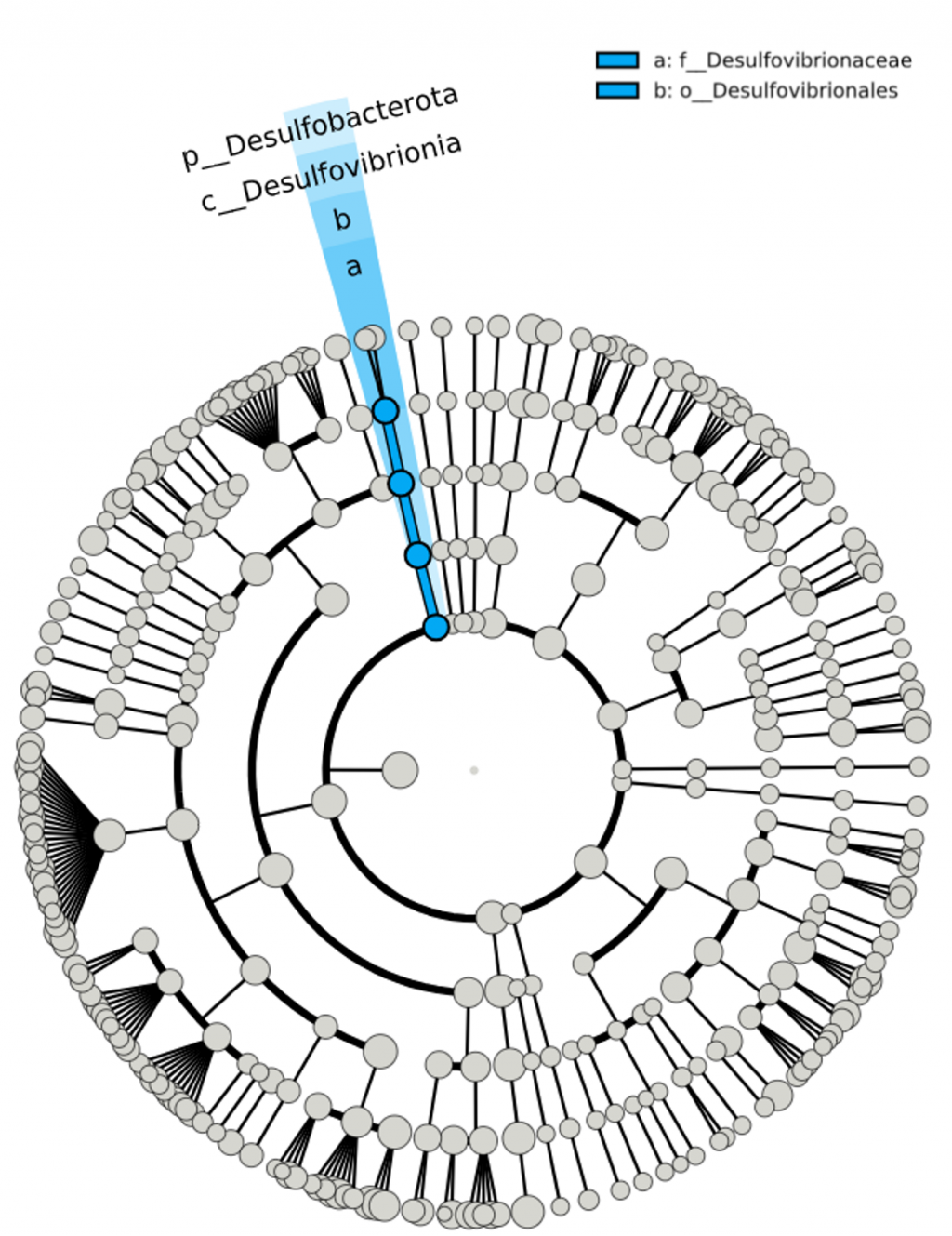 NGS QIIME2 : 尋找生物標記(Biomarker) LEfSe + dokdo 套件 (下-配色) -24